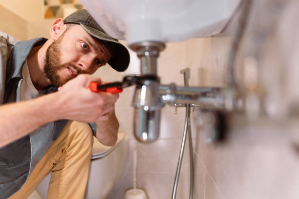 Best Plumbing Inspection Services  in Tower Lakes, IL